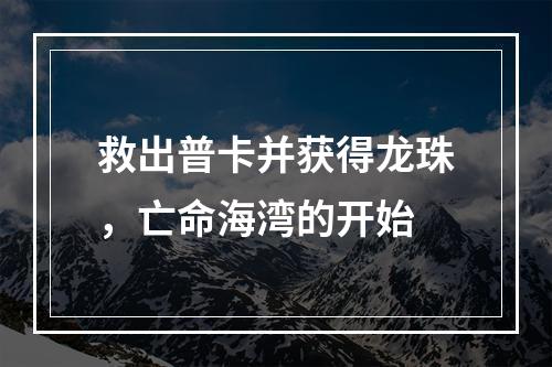 救出普卡并获得龙珠，亡命海湾的开始