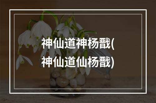 神仙道神杨戬(神仙道仙杨戬)