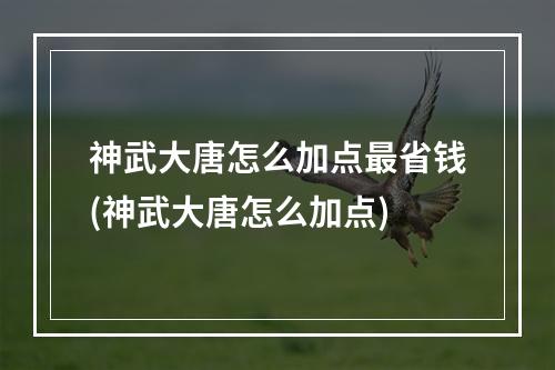 神武大唐怎么加点最省钱(神武大唐怎么加点)