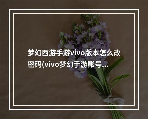 梦幻西游手游vivo版本怎么改密码(vivo梦幻手游账号密码)