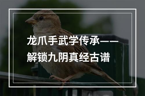 龙爪手武学传承——解锁九阴真经古谱