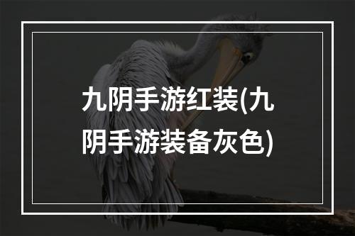 九阴手游红装(九阴手游装备灰色)