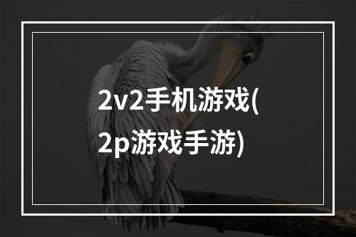 2v2手机游戏(2p游戏手游)