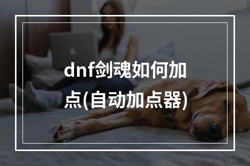 dnf剑魂如何加点(自动加点器)