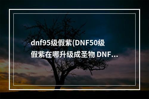 dnf95级假紫(DNF50级假紫在哪升级成圣物 DNF50级假紫升级成圣物)