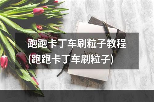 跑跑卡丁车刷粒子教程(跑跑卡丁车刷粒子)