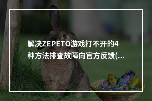 解决ZEPETO游戏打不开的4种方法排查故障向官方反馈(ZEPETO游戏如何打不开，快速处理方法)