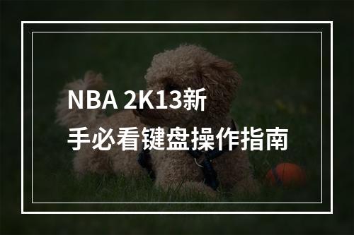 NBA 2K13新手必看键盘操作指南