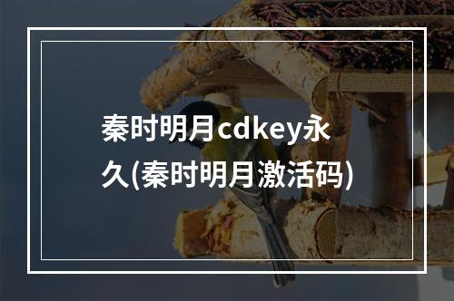 秦时明月cdkey永久(秦时明月激活码)