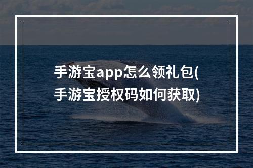 手游宝app怎么领礼包(手游宝授权码如何获取)