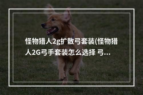 怪物猎人2g扩散弓套装(怪物猎人2G弓手套装怎么选择 弓装选择推荐 )