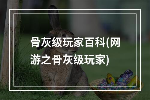 骨灰级玩家百科(网游之骨灰级玩家)