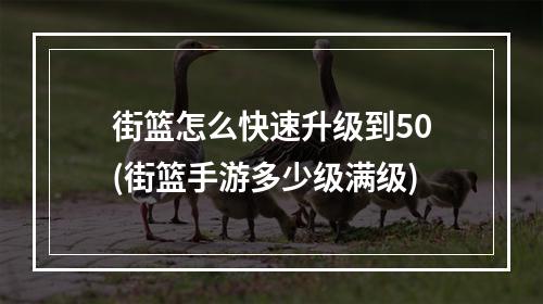 街篮怎么快速升级到50(街篮手游多少级满级)