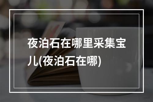 夜泊石在哪里采集宝儿(夜泊石在哪)