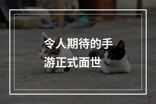 令人期待的手游正式面世