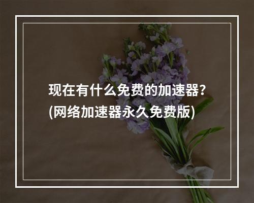 现在有什么免费的加速器？(网络加速器永久免费版)