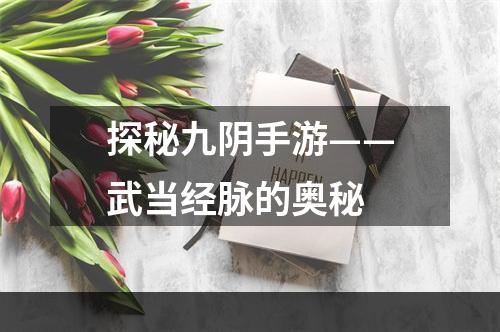 探秘九阴手游——武当经脉的奥秘