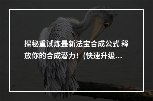 探秘重试炼最新法宝合成公式 释放你的合成潜力！(快速升级 少走弯路)(《重试炼》法宝合成大揭秘 独家教你如何获得顶级法宝！(绝密合成技巧 曝光最新合成表))