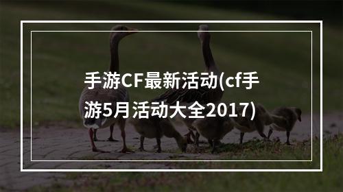 手游CF最新活动(cf手游5月活动大全2017)