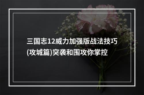 三国志12威力加强版战法技巧(攻城篇)突袭和围攻你掌控