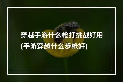 穿越手游什么枪打挑战好用(手游穿越什么步枪好)