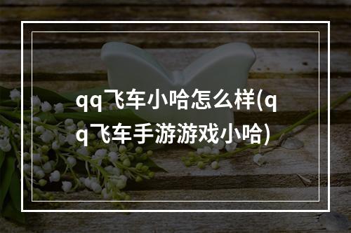 qq飞车小哈怎么样(qq飞车手游游戏小哈)