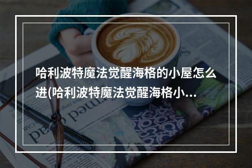 哈利波特魔法觉醒海格的小屋怎么进(哈利波特魔法觉醒海格小屋怎么进入 海格小屋进入方法)