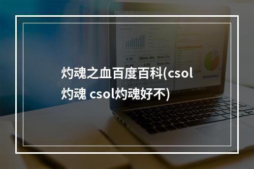 灼魂之血百度百科(csol灼魂 csol灼魂好不)