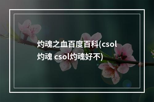 灼魂之血百度百科(csol灼魂 csol灼魂好不)