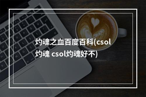 灼魂之血百度百科(csol灼魂 csol灼魂好不)