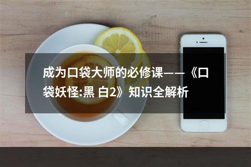 成为口袋大师的必修课——《口袋妖怪:黑 白2》知识全解析