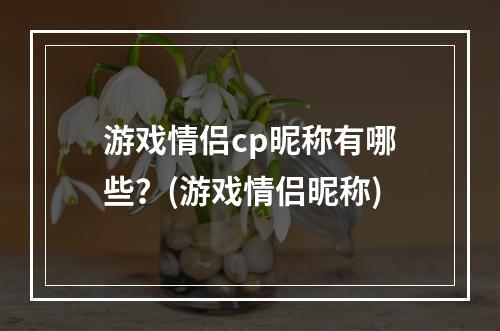 游戏情侣cp昵称有哪些？(游戏情侣昵称)