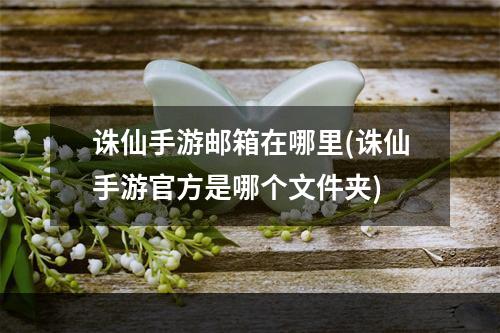 诛仙手游邮箱在哪里(诛仙手游官方是哪个文件夹)