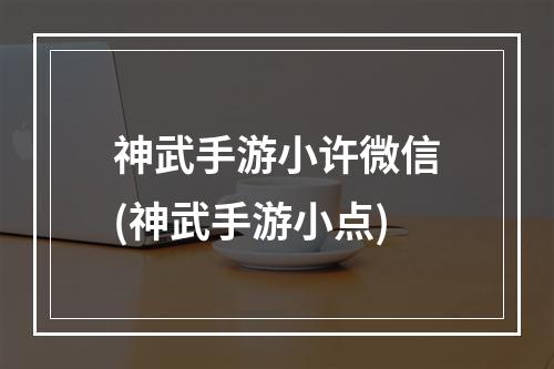 神武手游小许微信(神武手游小点)