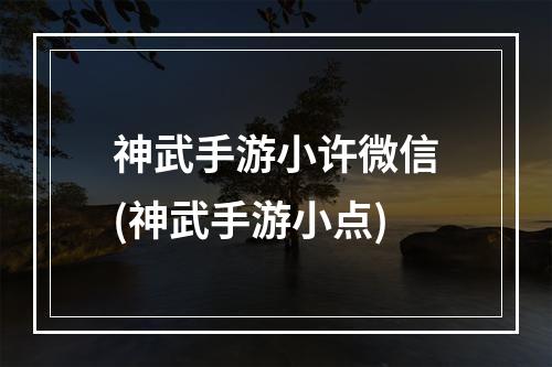 神武手游小许微信(神武手游小点)