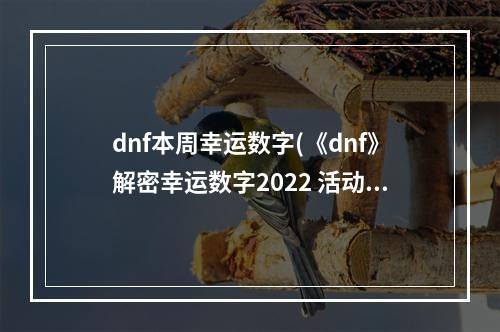 dnf本周幸运数字(《dnf》解密幸运数字2022 活动玩法介绍 )