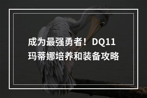 成为最强勇者！DQ11玛蒂娜培养和装备攻略