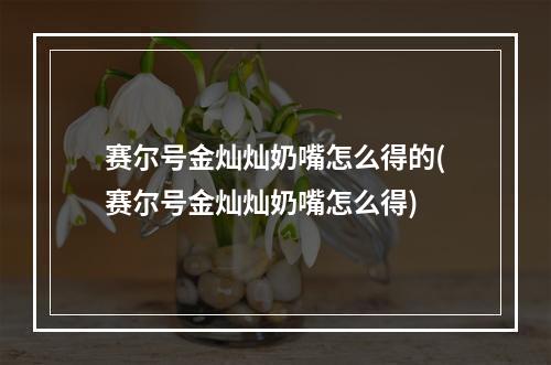 赛尔号金灿灿奶嘴怎么得的(赛尔号金灿灿奶嘴怎么得)