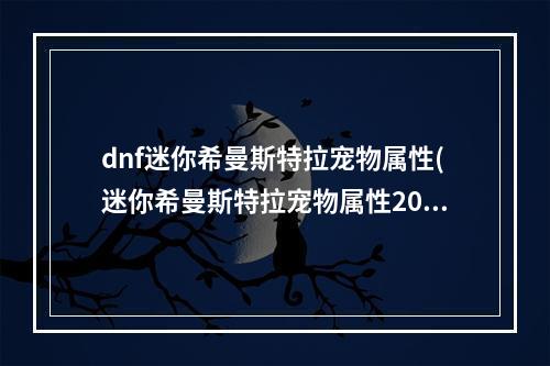 dnf迷你希曼斯特拉宠物属性(迷你希曼斯特拉宠物属性2022 )