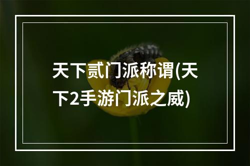 天下贰门派称谓(天下2手游门派之威)