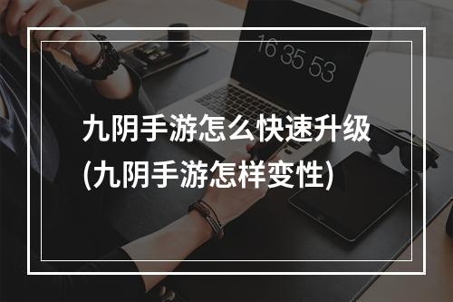 九阴手游怎么快速升级(九阴手游怎样变性)