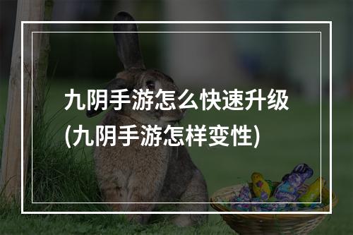 九阴手游怎么快速升级(九阴手游怎样变性)