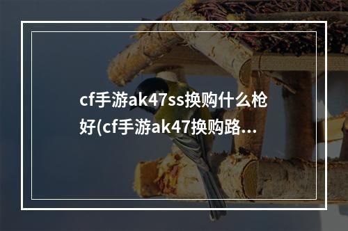 cf手游ak47ss换购什么枪好(cf手游ak47换购路线)