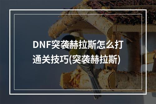 DNF突袭赫拉斯怎么打通关技巧(突袭赫拉斯)