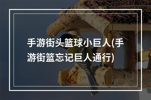 手游街头篮球小巨人(手游街篮忘记巨人通行)