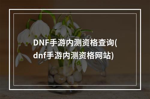 DNF手游内测资格查询(dnf手游内测资格网站)