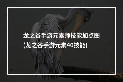 龙之谷手游元素师技能加点图(龙之谷手游元素40技能)