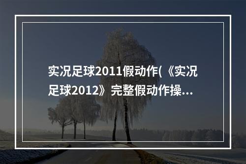 实况足球2011假动作(《实况足球2012》完整假动作操作方法、优劣简析、新)