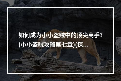 如何成为小小盗贼中的顶尖高手？(小小盗贼攻略第七章)(探究小小盗贼世界中隐藏的秘密(小小盗贼攻略第七章))