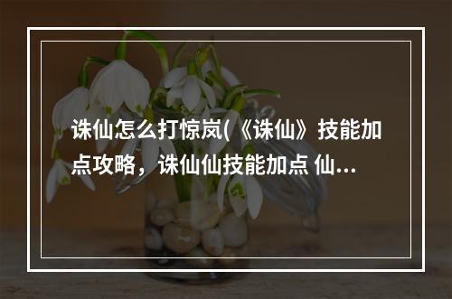 诛仙怎么打惊岚(《诛仙》技能加点攻略，诛仙仙技能加点 仙惊岚技能天书)